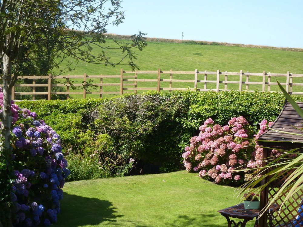 Yr Hen Felin - The Old Mill B&B Morfa Nefyn Eksteriør billede
