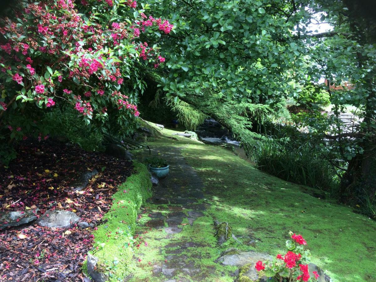 Yr Hen Felin - The Old Mill B&B Morfa Nefyn Eksteriør billede