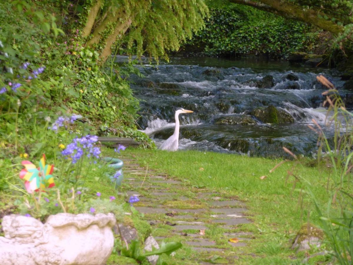 Yr Hen Felin - The Old Mill B&B Morfa Nefyn Eksteriør billede